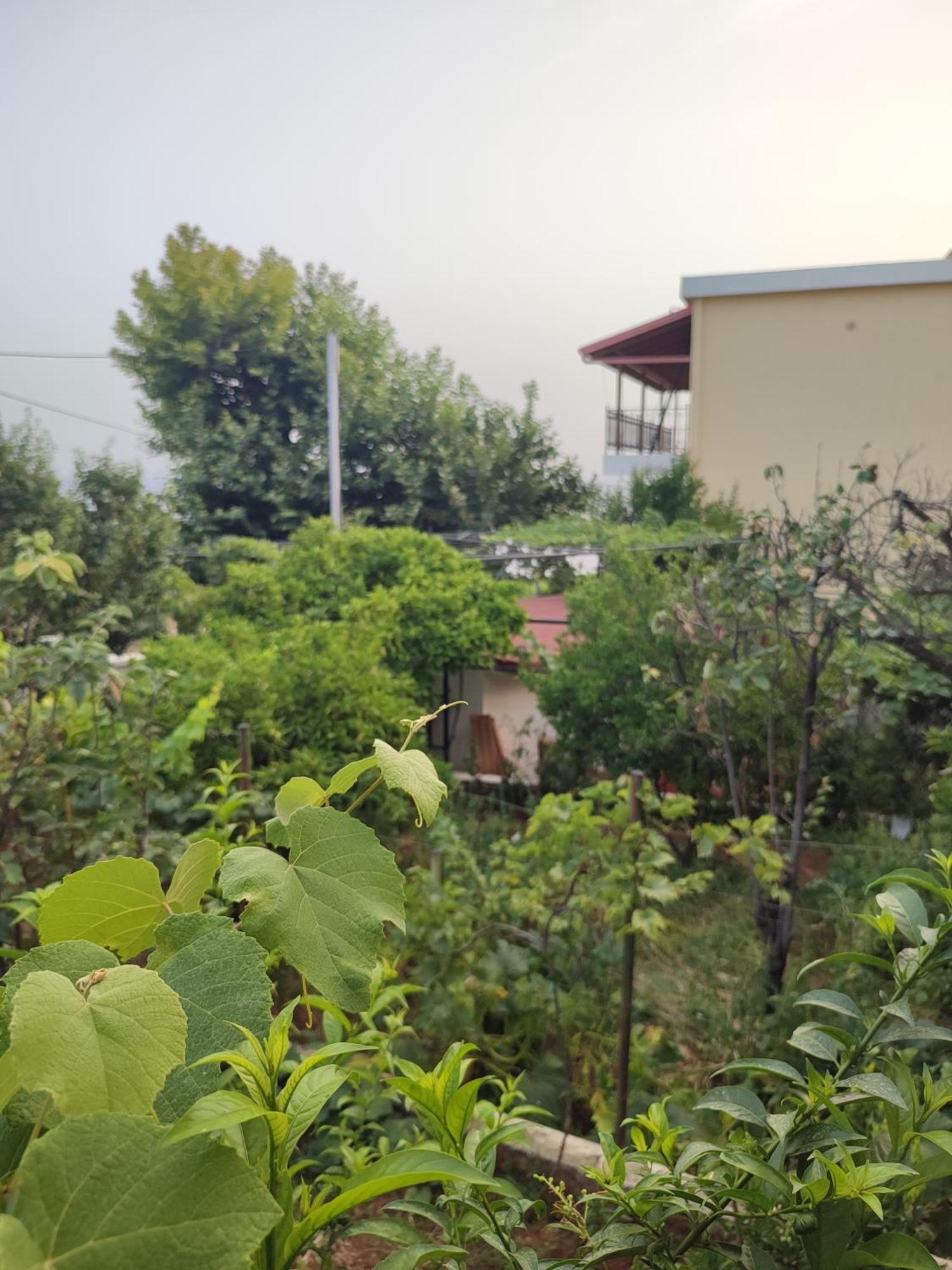 Villa Janilla Dhërmi Kültér fotó